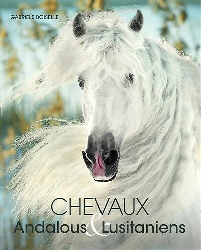 Andalous & lusitaniens: chevaux ibériques