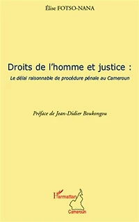 Droits de l'homme et justice: Le délai de procédure pénale au Cameroun