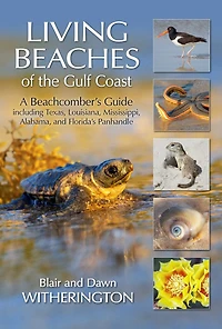 Living Beaches of the Gulf Coast: A Beachcombers Guide including Texas, Louisiana, Mississippi, Alabama and Florida's Panhandle