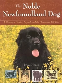 Noble Newfoundland Dog