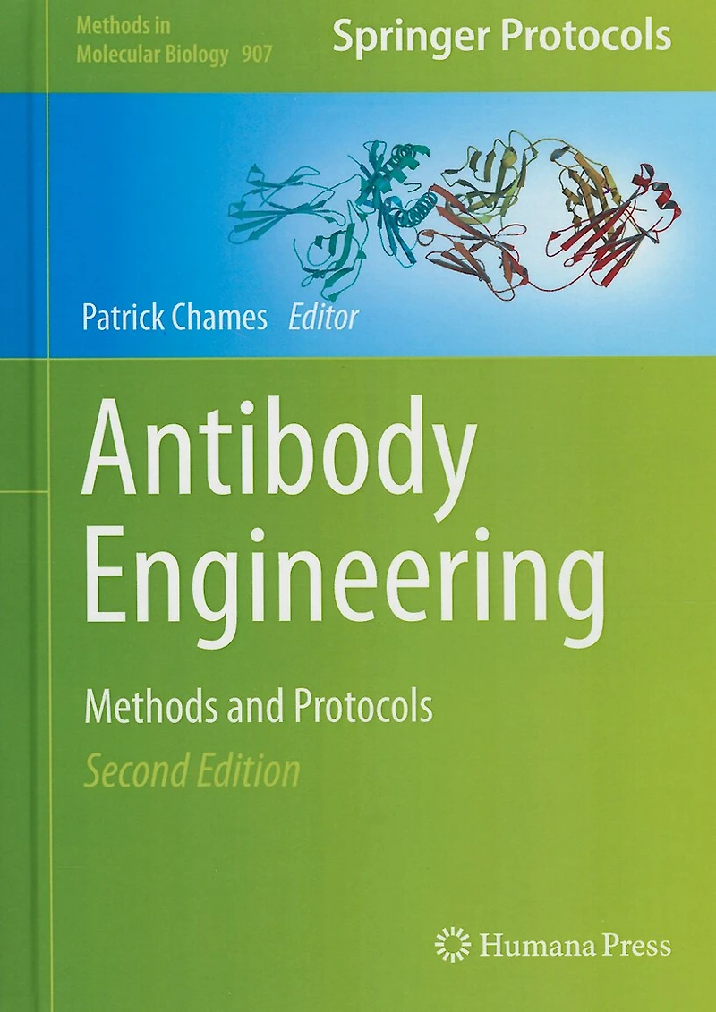 Antibody Engineering: Methods And Protocols