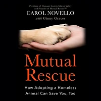 Mutual Rescue: How Adopting A Homeless Animal Can Save You, Too