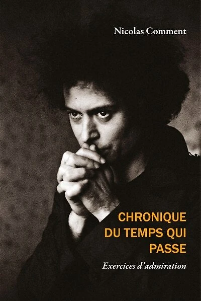 Chronique du temps qui passe: exercices d'admiration