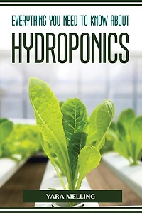 Everything You Should Know about Hydroponics