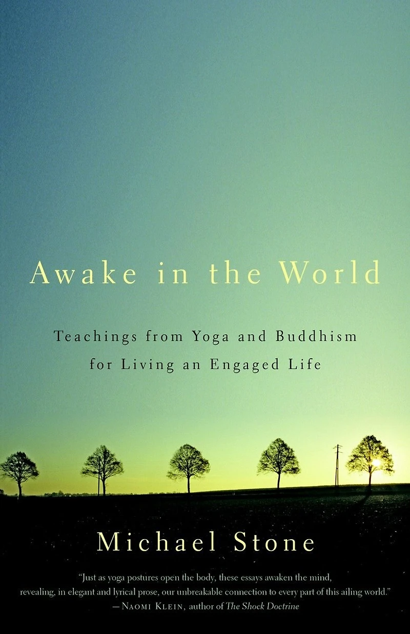 Awake the World: Teachings from Yoga and Buddhism for Living an Engaged Life