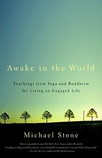 Awake the World: Teachings from Yoga and Buddhism for Living an Engaged Life