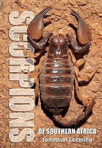 Scorpions of Southern Africa