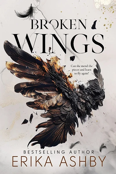 Broken Wings: A Military Romance