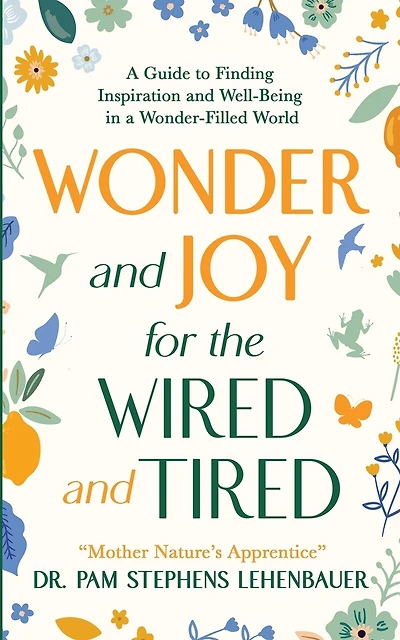 Wonder and Joy for the Wired and Tired: A Guide to Finding Inspiration and Well-Being in a Wonder-Filled World