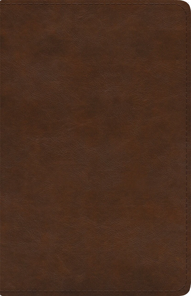 ESV Spanish/English Parallel Bible (La Santa Biblia RVR 1960 / The Holy Bible ESV, TruTone, Brown)