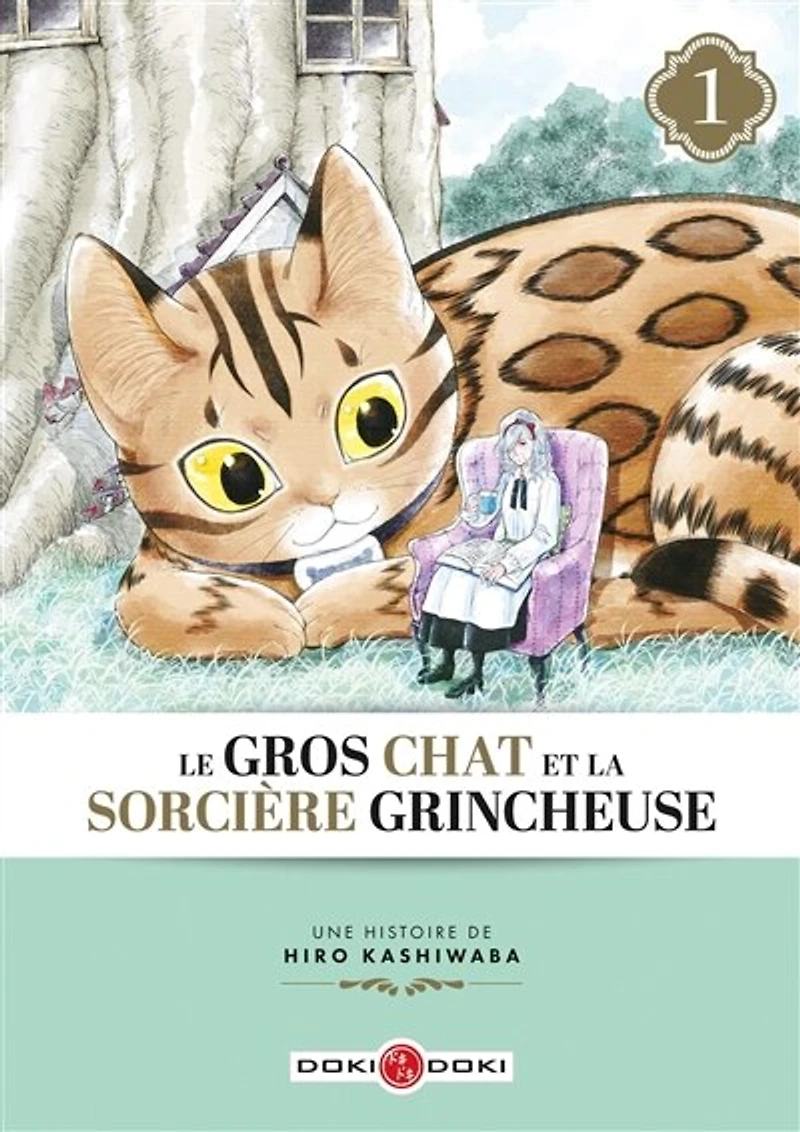 Le gros chat et la sorcière grincheuse, Vol. 1