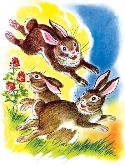 Have A Fun-Filled Birthday - Frisky Bunnies Birthday Card