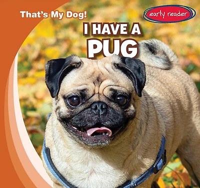 I Have a Pug
