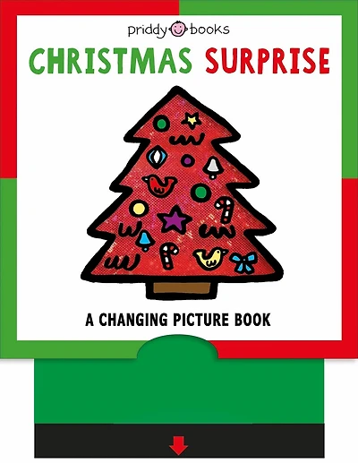 Changing Picture Book: Christmas Surprise