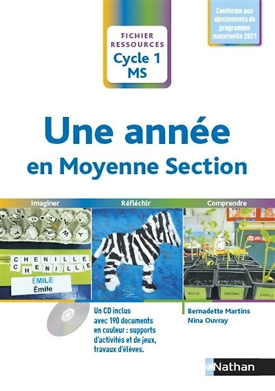 Une année en moyenne section, cycle 1, MS: imaginer, réfléchir, comprendre