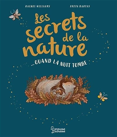 Quand la nuit tombe