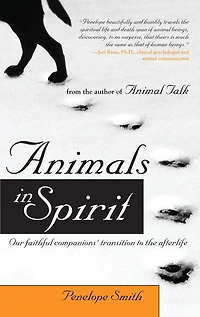 Animals Spirit: Our faithful companions' transition to the afterlife