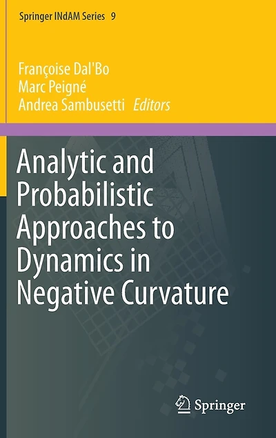 Analytic and Probabilistic Approaches to Dynamics Negative Curvature