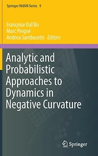 Analytic and Probabilistic Approaches to Dynamics Negative Curvature