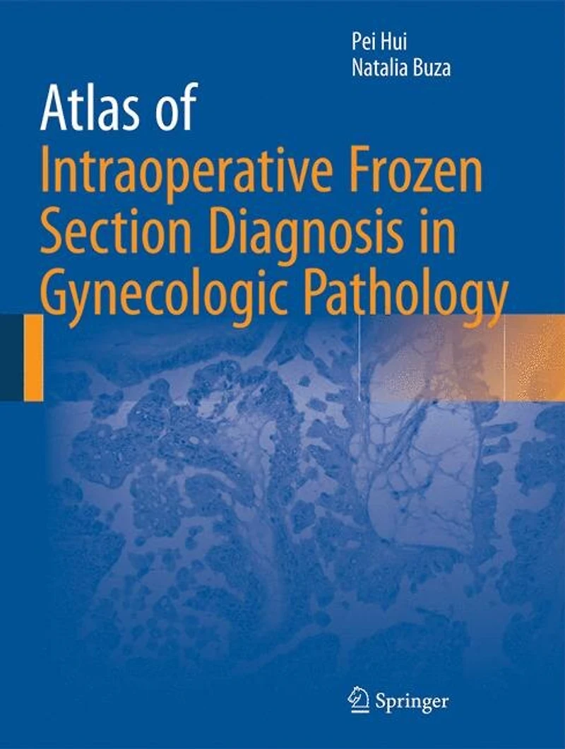 Atlas of Intraoperative Frozen Section Diagnosis Gynecologic Pathology