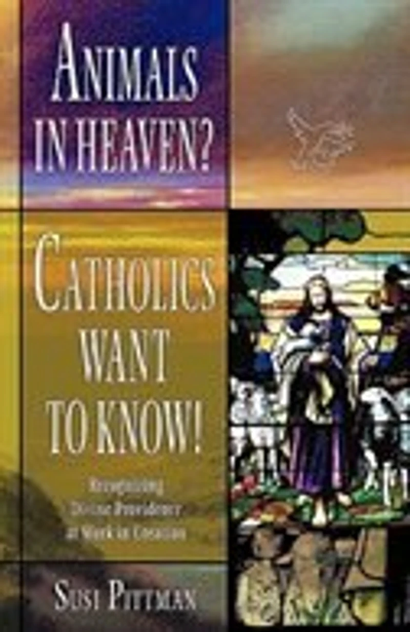 Animals Heaven?: Catholics Want to Know!
