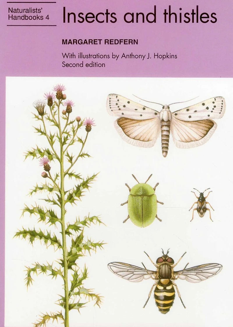 Insects and Thistles