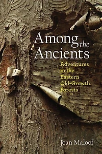 Among The Ancients: Adventures In The Eastern Old-growth Forests