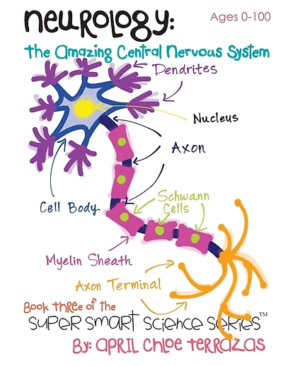 Neurology: The Amazing Central Nervous System