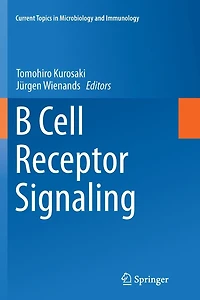 B Cell Receptor Signaling