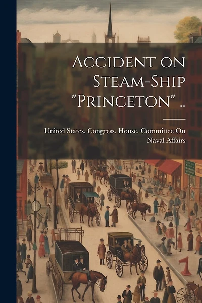 Accident on Steam-ship "Princeton