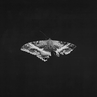 Kendrick Lamar - To Pimp a Butterfly (10 Year Anniversary Edition) Alternate Artwork [2LP]