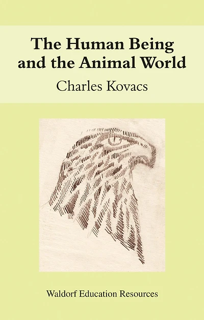 The Human Being And The Animal World