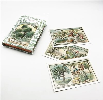 Petit livre des arbres + cartes postales