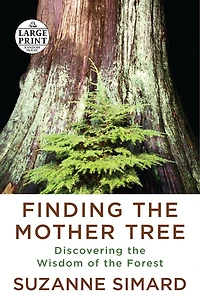 Finding the Mother Tree: Discovering Wisdom of Forest