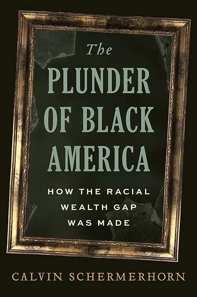 the Plunder of Black America: How Racial Wealth Gap Was Made