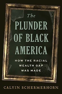 the Plunder of Black America: How Racial Wealth Gap Was Made