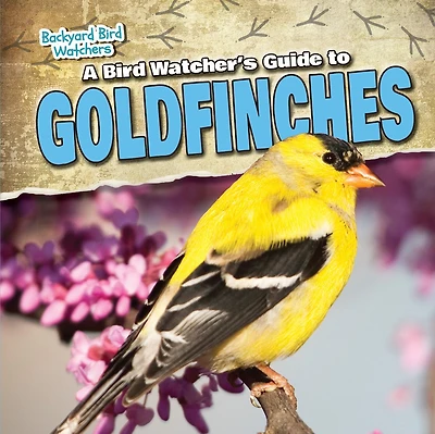 A Bird Watcher's Guide to Goldfinches
