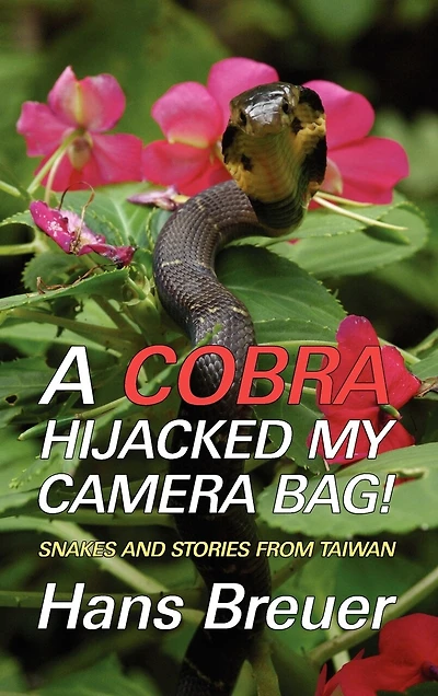 A Cobra Hijacked My Camera Bag! Snakes And Stories From Taiwan