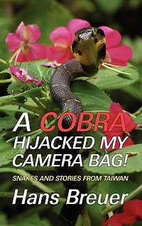 A Cobra Hijacked My Camera Bag! Snakes And Stories From Taiwan