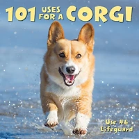 101 Uses For A Corgi