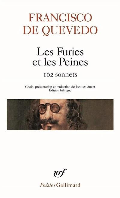 Les furies et les peines: cent deux sonnets