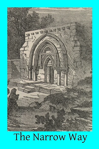 The Narrow Way: A Brief, Clear, Systematical Exposition of the Spiritual Life for the Laity, And a Practical Guide-Book to Christian Perfection for All of Good Will