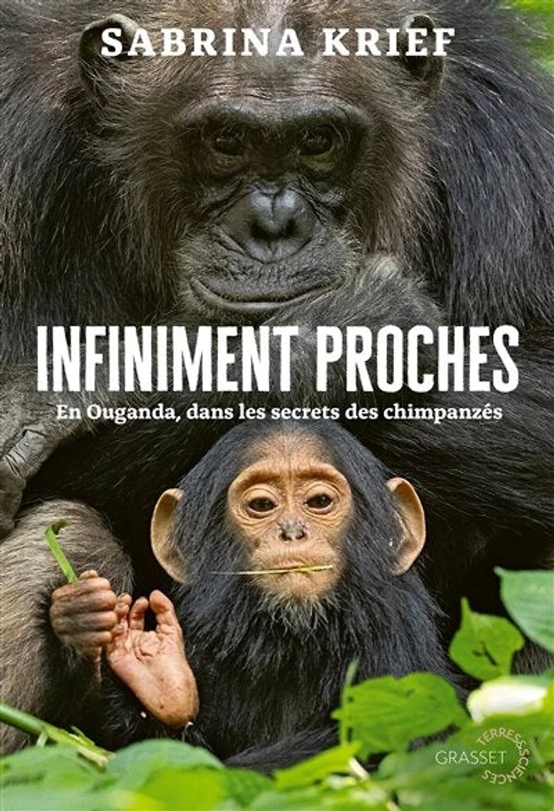 Infiniment proches: en Ouganda, dans les secrets des chimpanzés