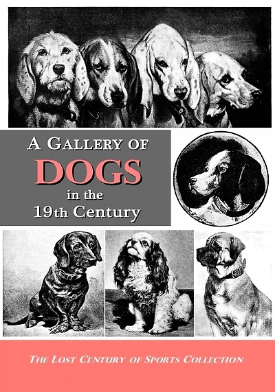 A Gallery Of Dogs In The 19th Century: 350 Photographs & Illustrations From 50 Books & Magazines Published From 1858 To 1898