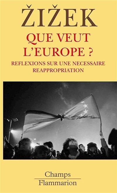 Que veut l'Europe ?: réflexions sur une nécessaire réappropriation
