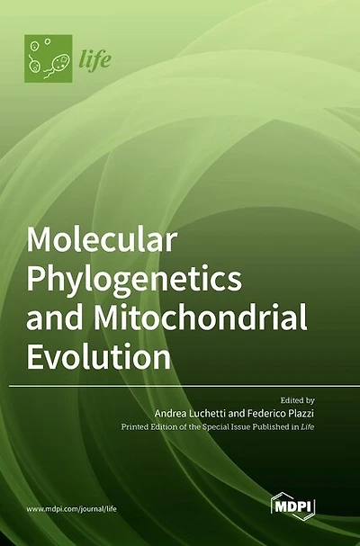 Molecular Phylogenetics and Mitochondrial Evolution