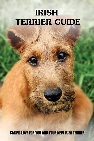 Irish Terrier Guide: Caring Love For You And Your New Irish Terrier: Irish Terrier Training System