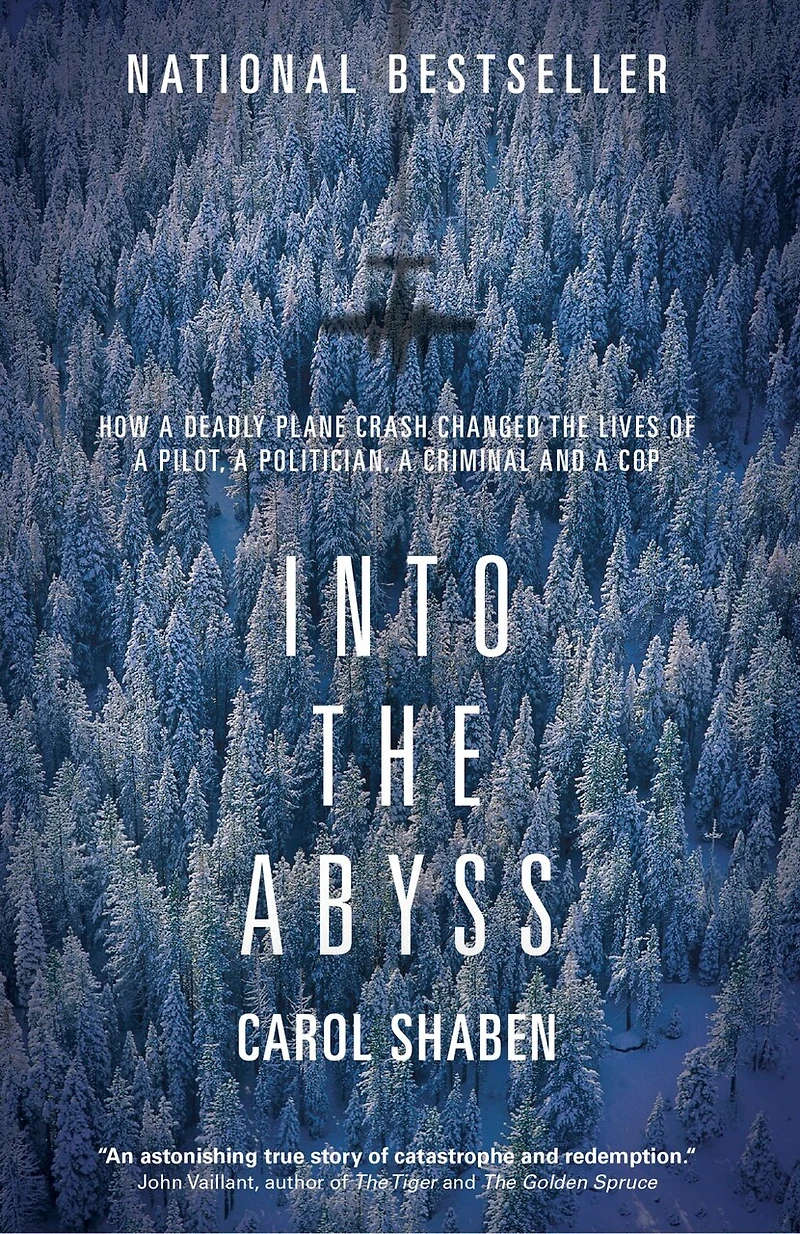Into the Abyss: How a Deadly Plane Crash Changed Lives of Pilot, Politician, Criminal and Cop