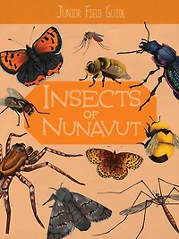 Junior Field Guide Insects of Nunavut: English Edition