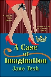A Case of Imagination: Madeline Maclin Mystery